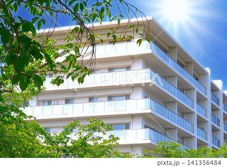 眩しい太陽と新緑越しの白い新築マンション 眩しい太陽と新緑越しの白い新築マンション 141356484