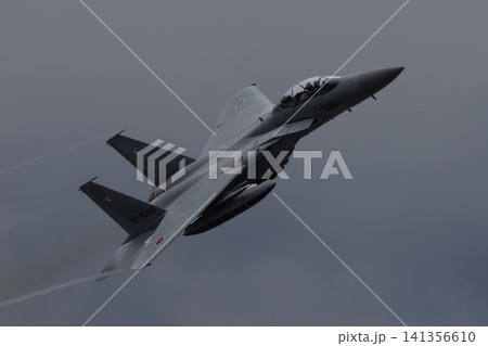 F-15J戦闘機 F-15J戦闘機 141356610