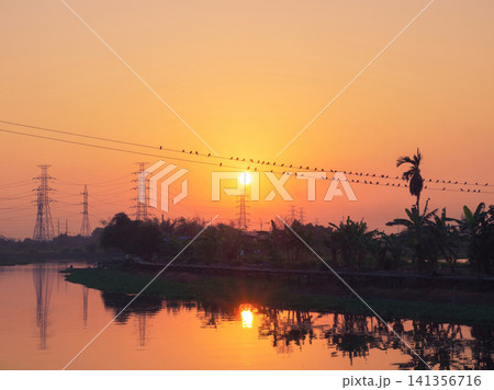 Sunset Birds on Power Lines Over River Landscape Sunset Birds on Power Lines Over River Landscape 141356716