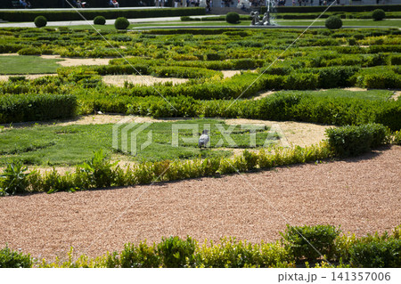 View of the Belvedere Gardens in Vienna 141357006