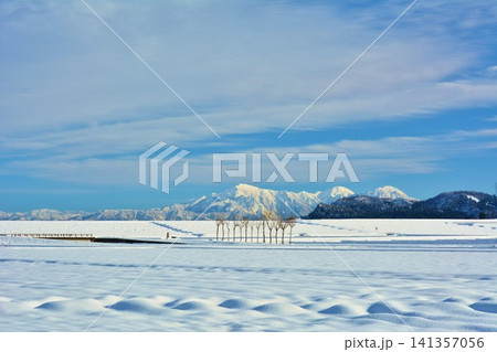 池ヶ原雪原のハサ木・越後三山雪景色 池ヶ原雪原のハサ木・越後三山雪景色 141357056