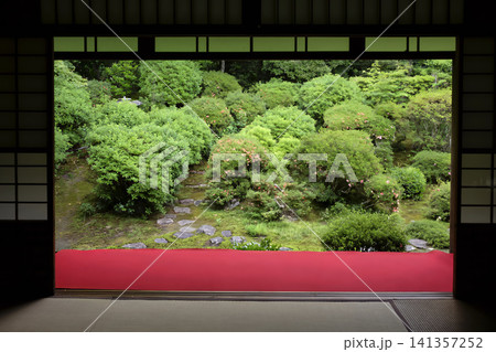緑燃える京都　静かにたたずむ住蓮山 安楽寺のお庭 141357252
