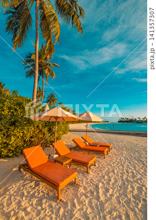 Orange sun beds with cushions under tall palm trees on resort beach in vertical frame. Blue afternoon sky over tropical shoreline, comfortable loungers on soft sand facing lagoon. Inviting vacation Orange sun beds with cushions under tall palm trees on resort beach in vertical frame. Blue afternoon sky over tropical shoreline, comfortable loungers on soft sand facing lagoon. Inviting vacation 141357307