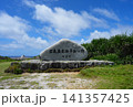 与那国馬 141357425