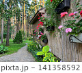 Flowers at the dacha 141358592