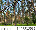 Sports forest town 141358595