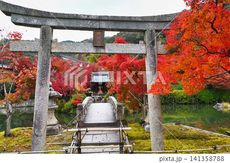 京都 永観堂(禅林寺)弁天社 美しい秋の紅葉(京都府京都市左京区) 京都 永観堂(禅林寺)弁天社 美しい秋の紅葉(京都府京都市左京区) 141358788