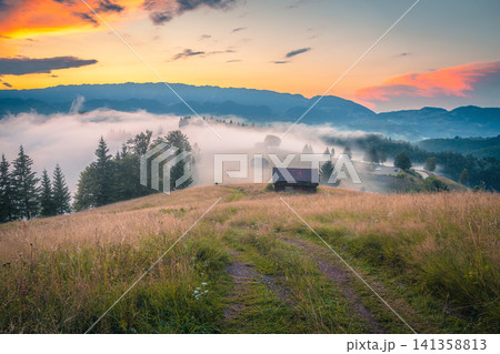 Amazing autumn scenery with misty valleys and hills Amazing autumn scenery with misty valleys and hills 141358813