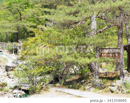 群馬県 西の河原公園の景観 5月 群馬県 西の河原公園の景観 5月 141359095