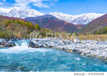 秋の白馬村・白馬大橋付近から見る紅葉した山々と冠雪した後立山連峰【長野県】 秋の白馬村・白馬大橋付近から見る紅葉した山々と冠雪した後立山連峰【長野県】 141359185