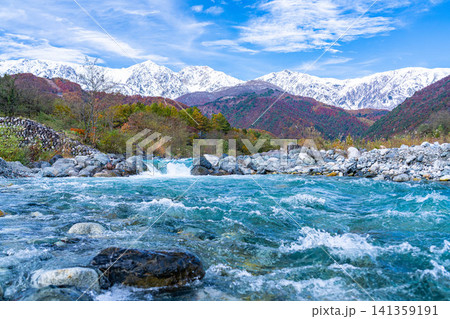 秋の白馬村・白馬大橋付近から見る紅葉した山々と冠雪した後立山連峰【長野県】 秋の白馬村・白馬大橋付近から見る紅葉した山々と冠雪した後立山連峰【長野県】 141359191