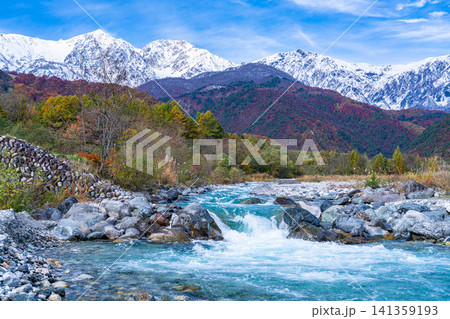 秋の白馬村・白馬大橋付近から見る紅葉した山々と冠雪した後立山連峰【長野県】 秋の白馬村・白馬大橋付近から見る紅葉した山々と冠雪した後立山連峰【長野県】 141359193