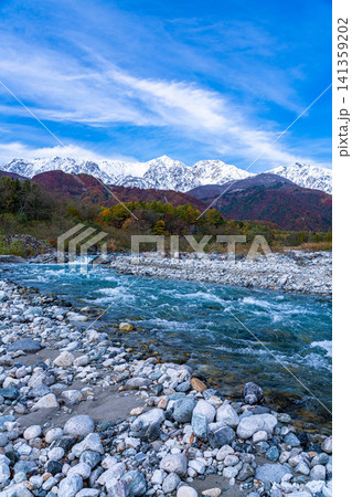秋の白馬村・白馬大橋付近から見る紅葉した山々と冠雪した後立山連峰【長野県】 141359202