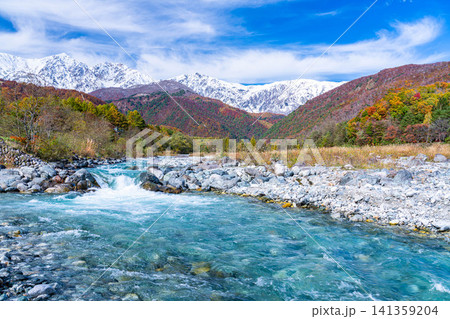 秋の白馬村・白馬大橋付近から見る紅葉した山々と冠雪した後立山連峰【長野県】 秋の白馬村・白馬大橋付近から見る紅葉した山々と冠雪した後立山連峰【長野県】 141359204