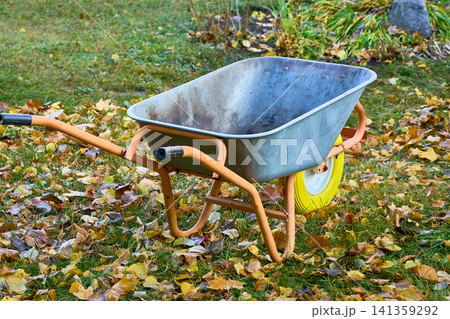Fall cleaning.Wheelbarrow for removing autumn fallen leaves 141359292