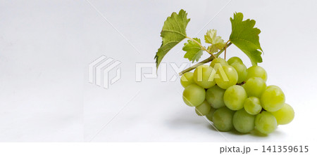 A cluster of fresh green grapes with their leaves, against a white background. A cluster of fresh green grapes with their leaves, against a white background. 141359615