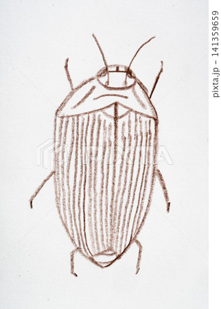 Cute bug crayon sketch, doodle insect illustration 141359659
