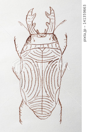 Cute bug crayon sketch, doodle insect illustration 141359663