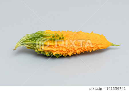 熟れすぎて黄色く色づいたにがうりの素材写真 熟れすぎて黄色く色づいたにがうりの素材写真 141359741