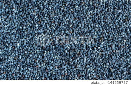 Macro Detailed Poppy Seed Pattern Top View Macro Detailed Poppy Seed Pattern Top View 141359757