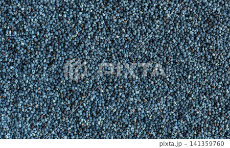 Macro Detailed Poppy Seed Pattern Top View Macro Detailed Poppy Seed Pattern Top View 141359760