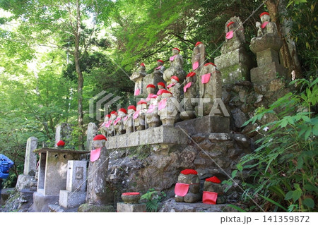 高尾山 6号路 琵琶滝コース 高尾山 6号路 琵琶滝コース 141359872