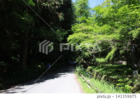 高尾山 6号路 琵琶滝コース 高尾山 6号路 琵琶滝コース 141359875