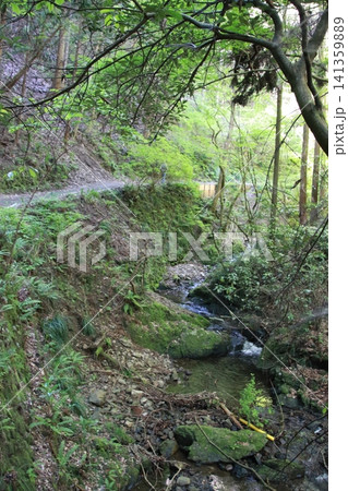 高尾山　6号路　琵琶滝コース 141359889