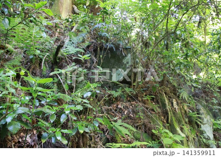 高尾山　6号路　琵琶滝コース 141359911