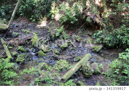高尾山 6号路 琵琶滝コース 高尾山 6号路 琵琶滝コース 141359917