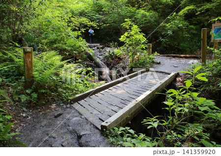 高尾山 6号路 琵琶滝コース 高尾山 6号路 琵琶滝コース 141359920