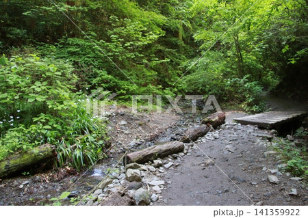 高尾山　6号路　琵琶滝コース 141359922