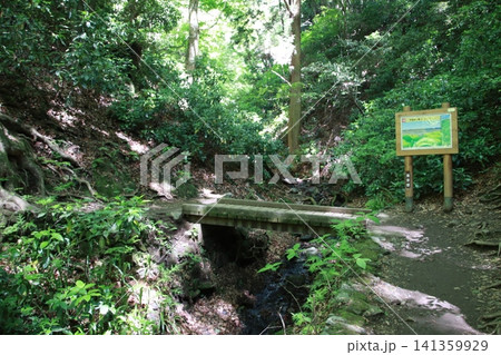 高尾山 6号路 琵琶滝コース 高尾山 6号路 琵琶滝コース 141359929