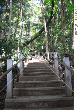 高尾山 6号路 琵琶滝コース 高尾山 6号路 琵琶滝コース 141359942