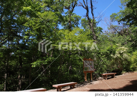 高尾山　6号路　琵琶滝コース 141359944
