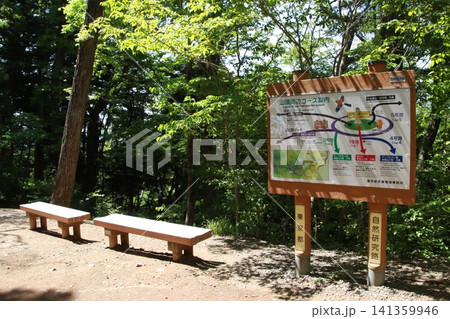 高尾山 6号路 琵琶滝コース 高尾山 6号路 琵琶滝コース 141359946
