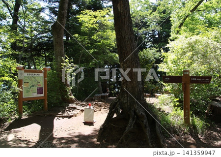 高尾山　6号路　琵琶滝コース 141359947