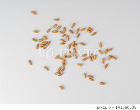 Wheat Grains Isolated, Barley Pile Wheat Grains Isolated, Barley Pile 141360339