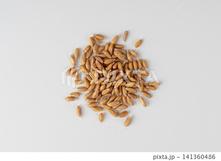 Wheat Grains Isolated, Barley Pile Wheat Grains Isolated, Barley Pile 141360486