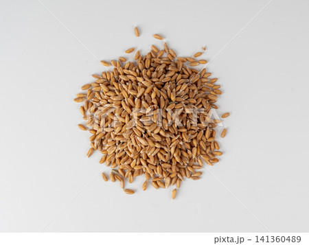 Wheat Grains Isolated, Barley Pile Wheat Grains Isolated, Barley Pile 141360489