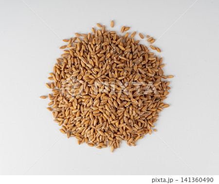 Wheat Grains Isolated, Barley Pile Wheat Grains Isolated, Barley Pile 141360490