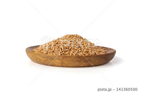 Wheat Grains Isolated, Barley Pile Wheat Grains Isolated, Barley Pile 141360500