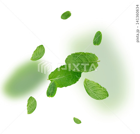 Falling Mint Leaf Set Isolated, Flying Fresh Menthol Leaves Falling Mint Leaf Set Isolated, Flying Fresh Menthol Leaves 141360634