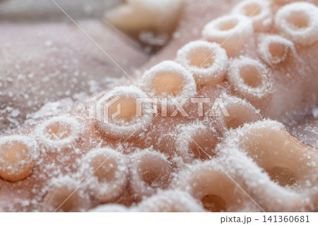 Macro shot of whole frozen octopus legs or big tentacles Macro shot of whole frozen octopus legs or big tentacles 141360681