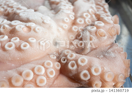 Macro shot of whole frozen octopus legs or big tentacles Macro shot of whole frozen octopus legs or big tentacles 141360719