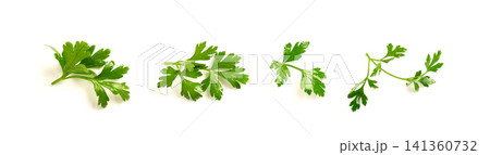 Fresh parsley leaf with water drops isolated Fresh parsley leaf with water drops isolated 141360732