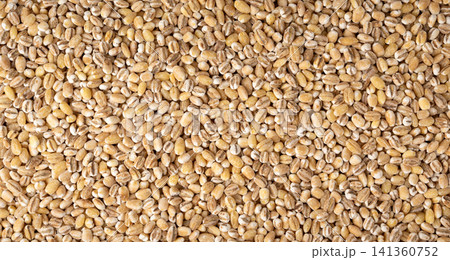 Pearl barley grains textured background Pearl barley grains textured background 141360752