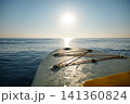 Standup paddleboarding, stand-up paddleboarding or stand up paddle SUP 141360824