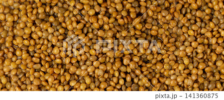 Cooked lentil, boiled green lentils Cooked lentil, boiled green lentils 141360875