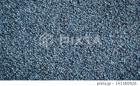 Macro Detailed Poppy Seed Pattern Top View Macro Detailed Poppy Seed Pattern Top View 141360926